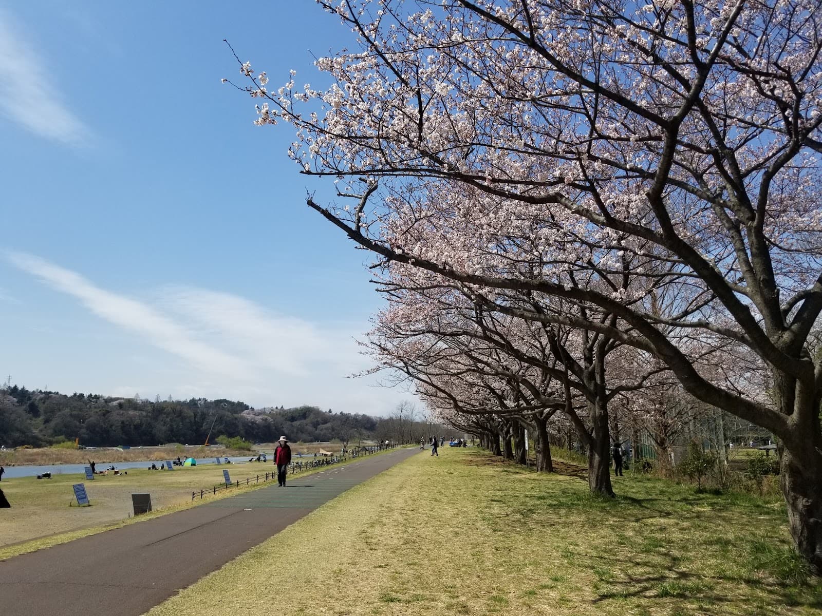Tama River Cycling Road (Fuchu) - Image 1