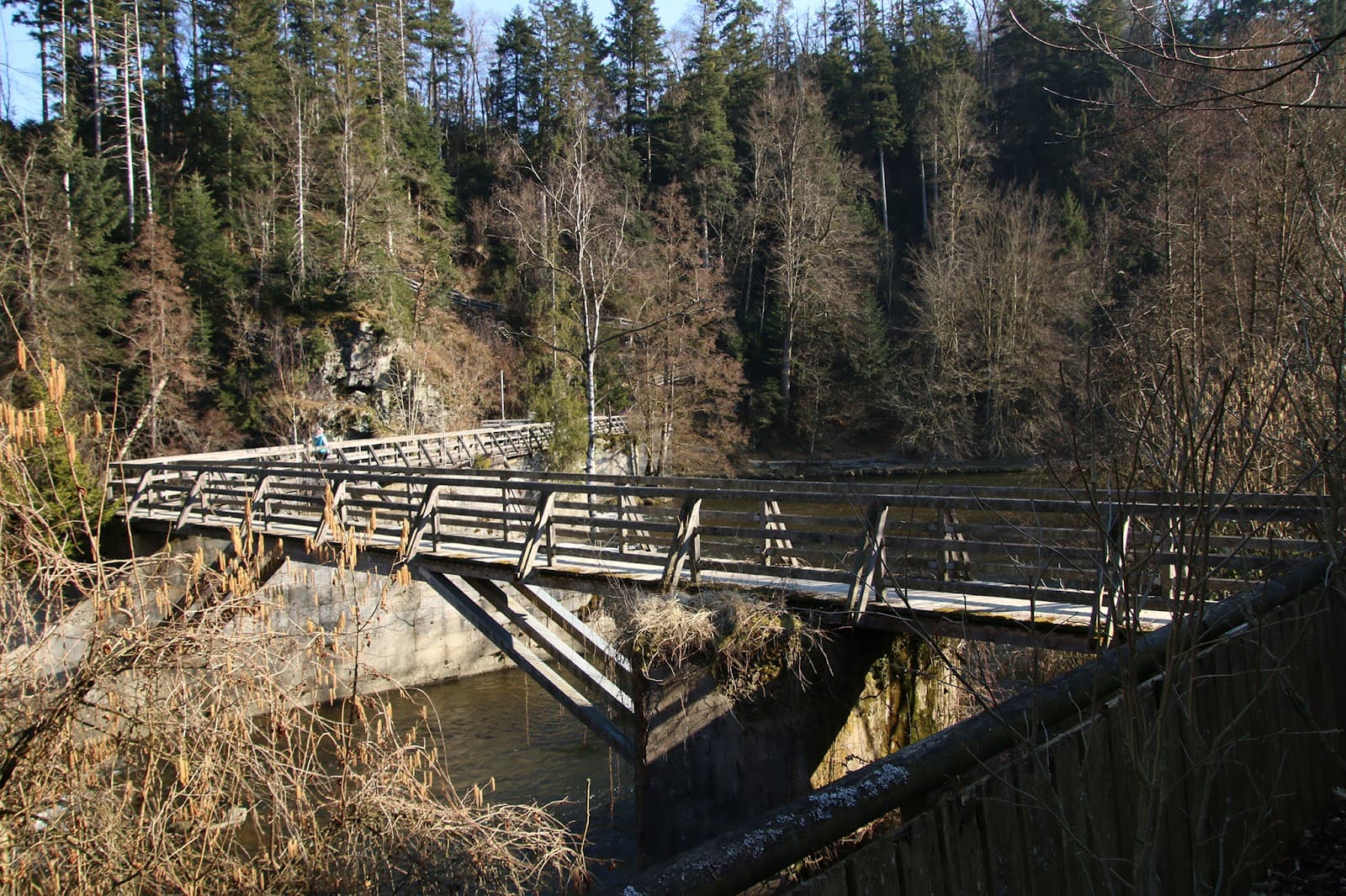 Ilzsteg Footbridge - Image 1