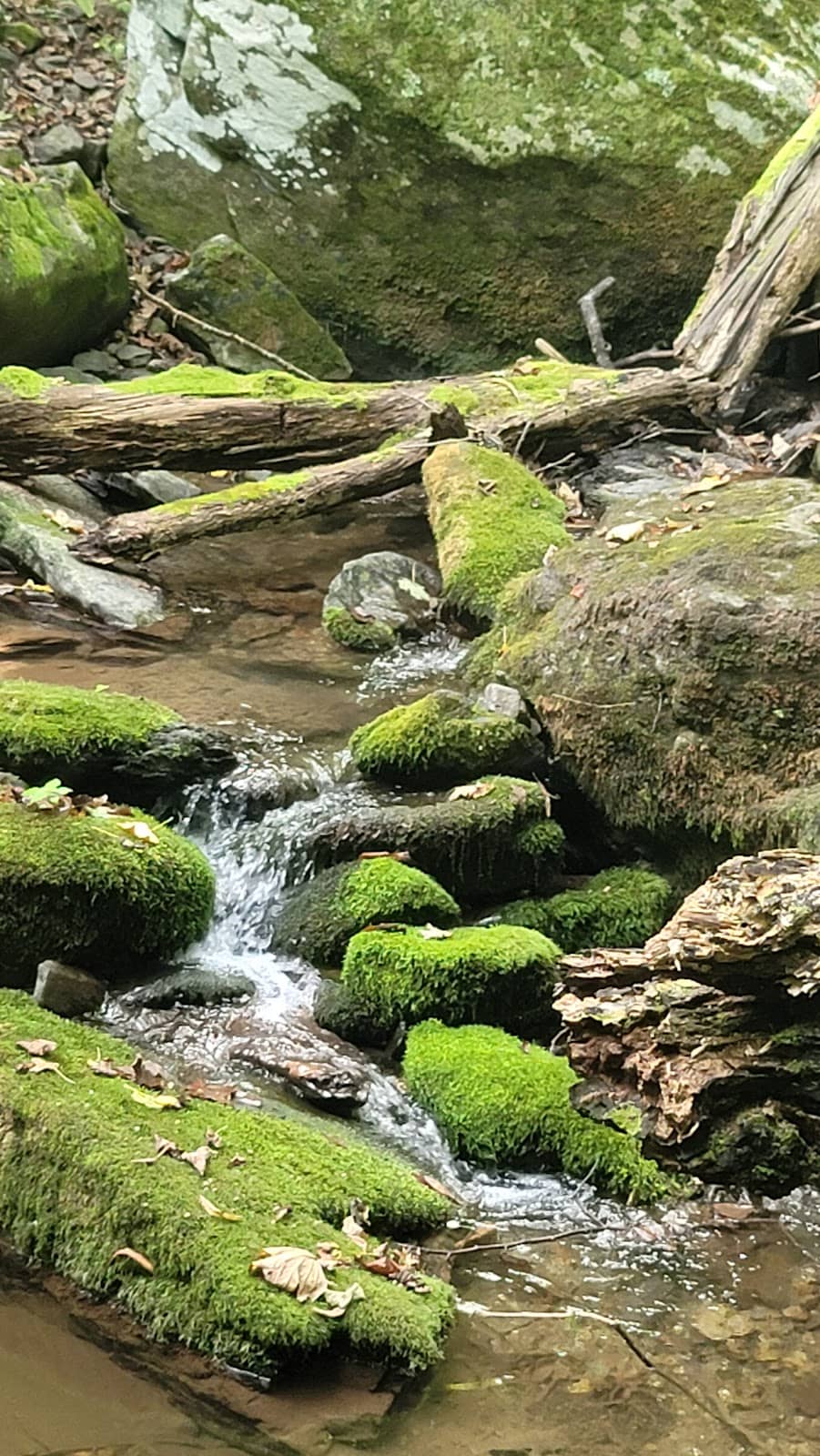 Vertical photo