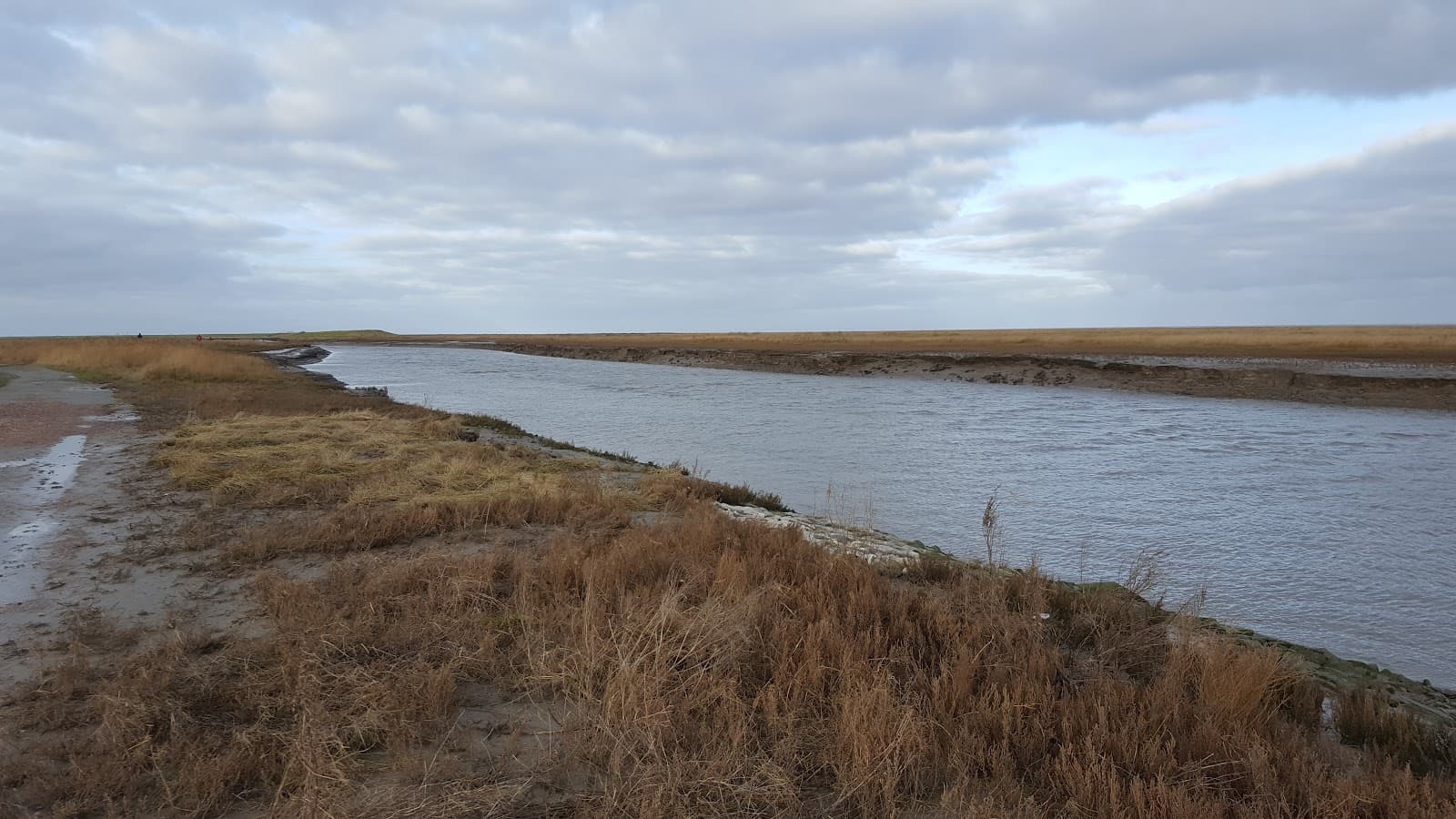 Jade Bay Mudflats (Wadden Sea) - Image 1