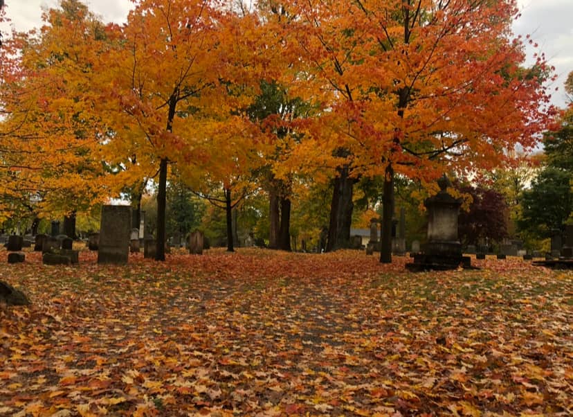 Extremely Old Stones