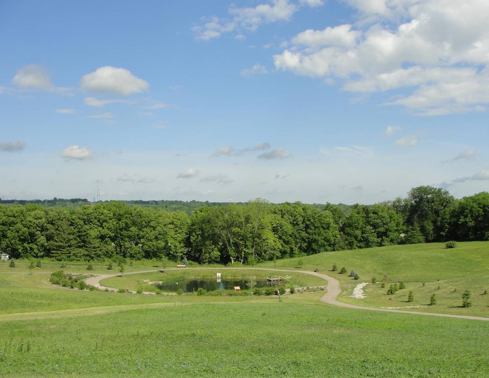 Wildflower Patch & Bee Boxes