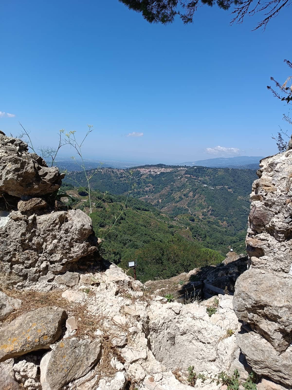 Vertical photo