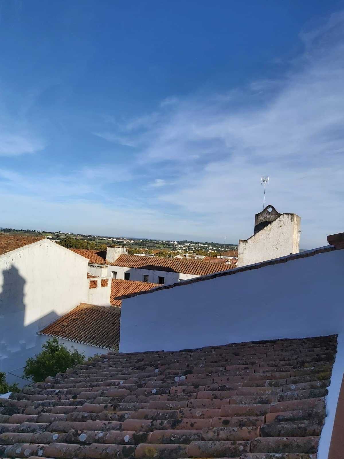 Vertical photo