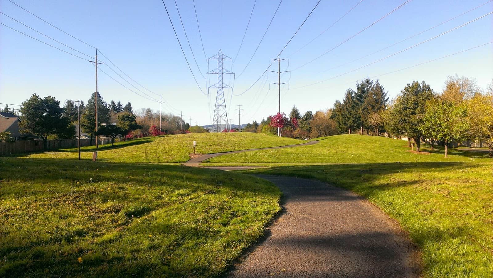 Soccer Fields & Play Area