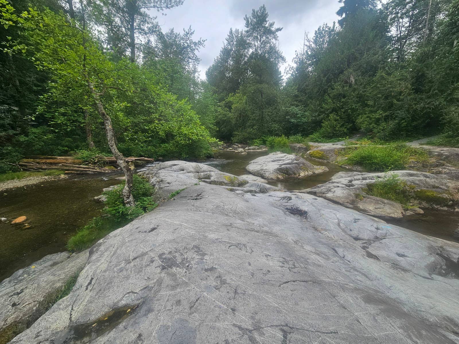 Family Picnic Spots