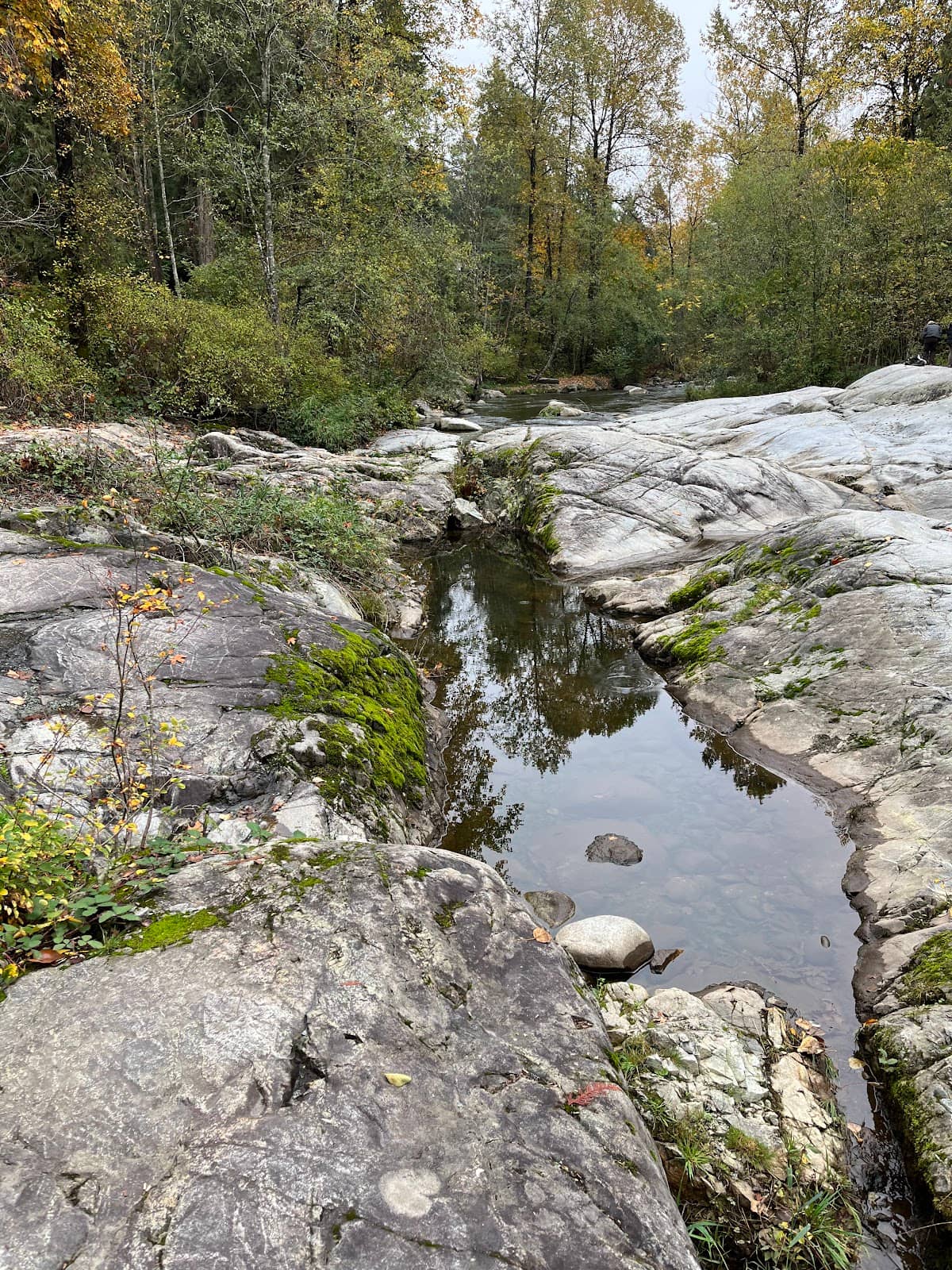 Vertical photo