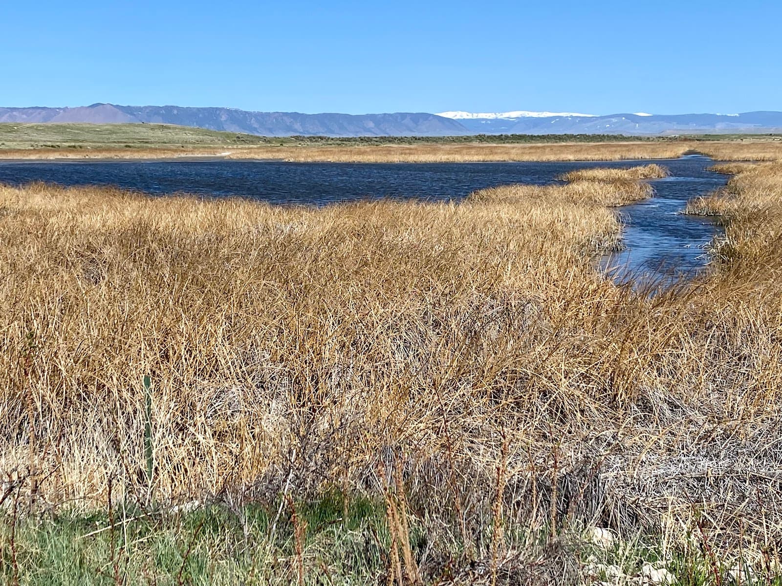 Hutton Lake National Wildlife Refuge - Image 1