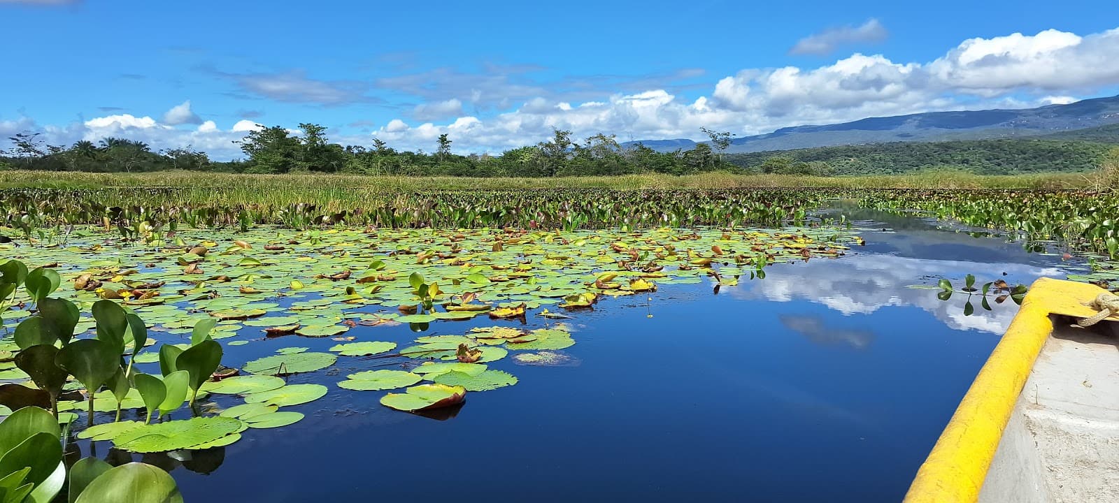 Marimbus Remanso - Image 1
