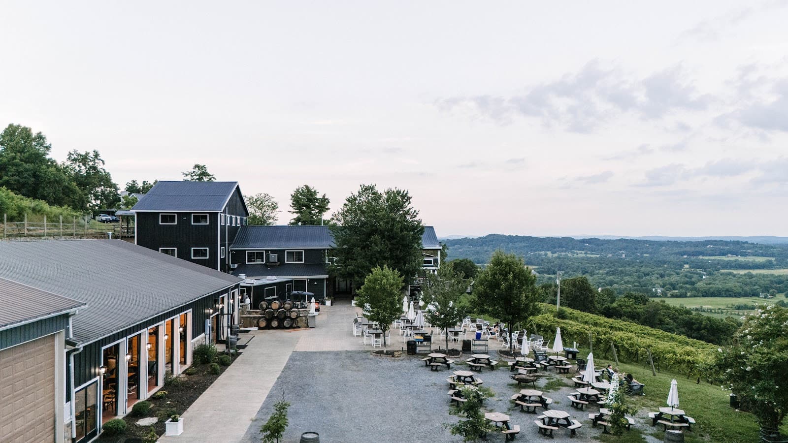 Bluemont Vineyards - Image 1