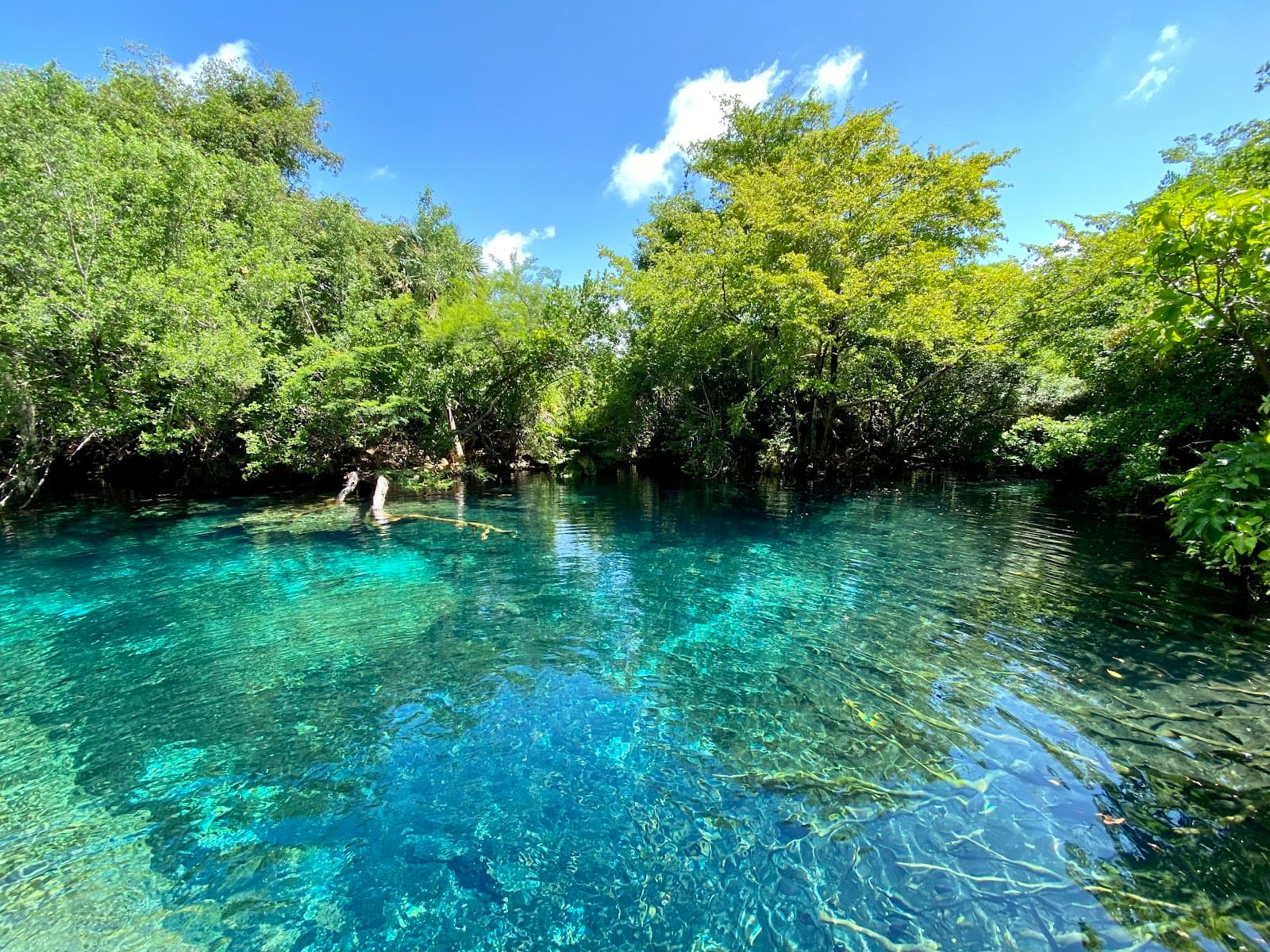 Los Tres Ojos - Image 1