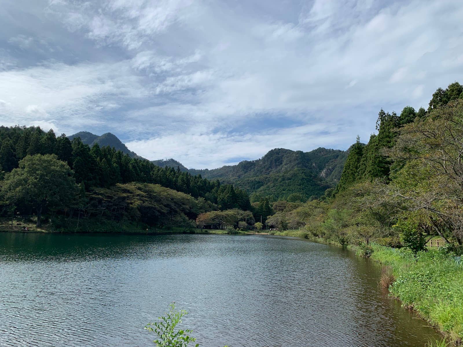 Lake Views
