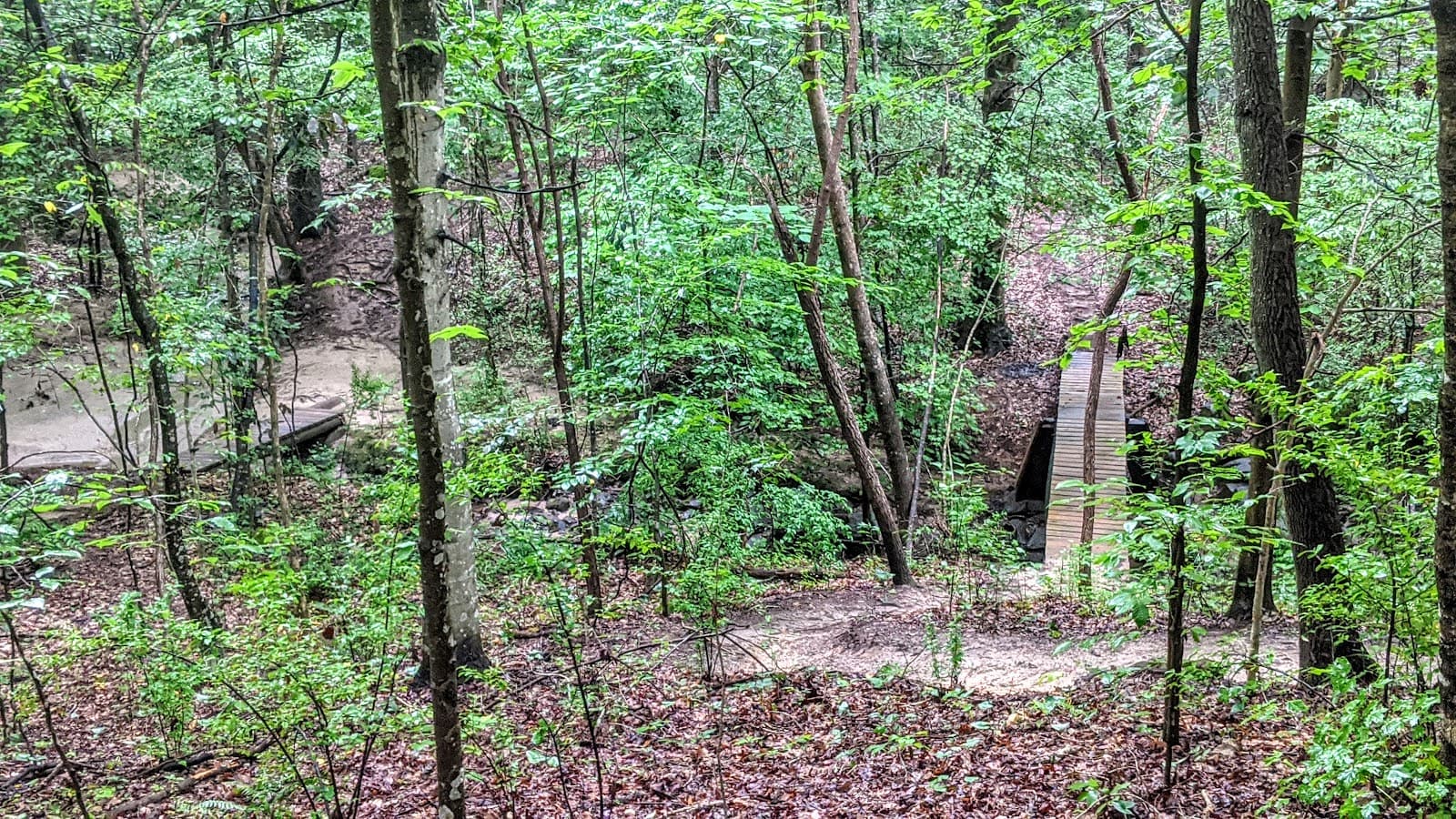 Rocky Branch Park (Mountain Bike Trails) - Image 1