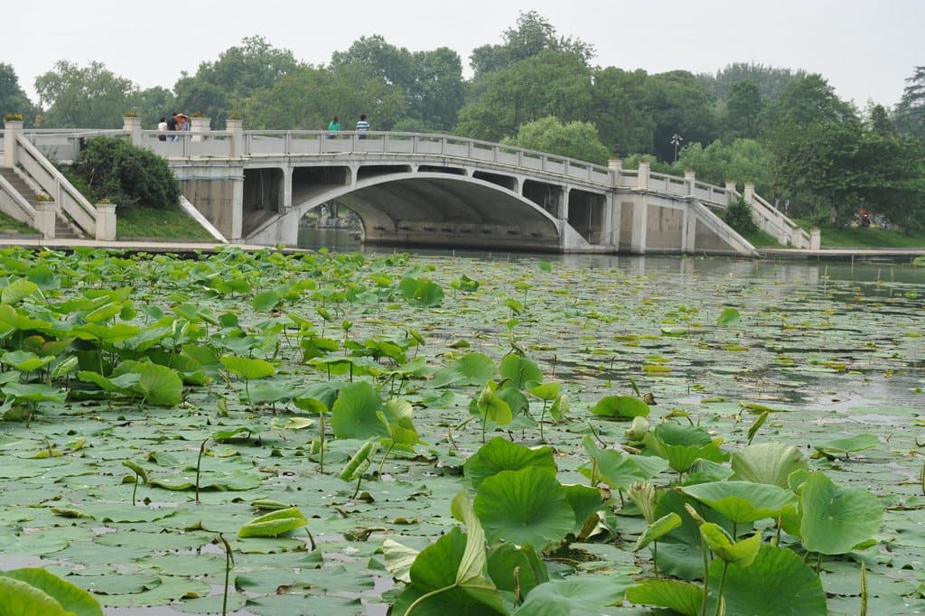 Xuanwu Lake Park Nanjing - Image 1