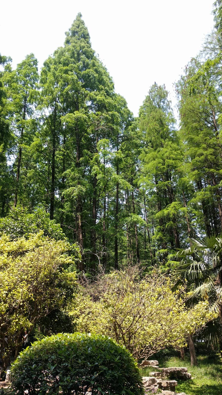Vertical photo