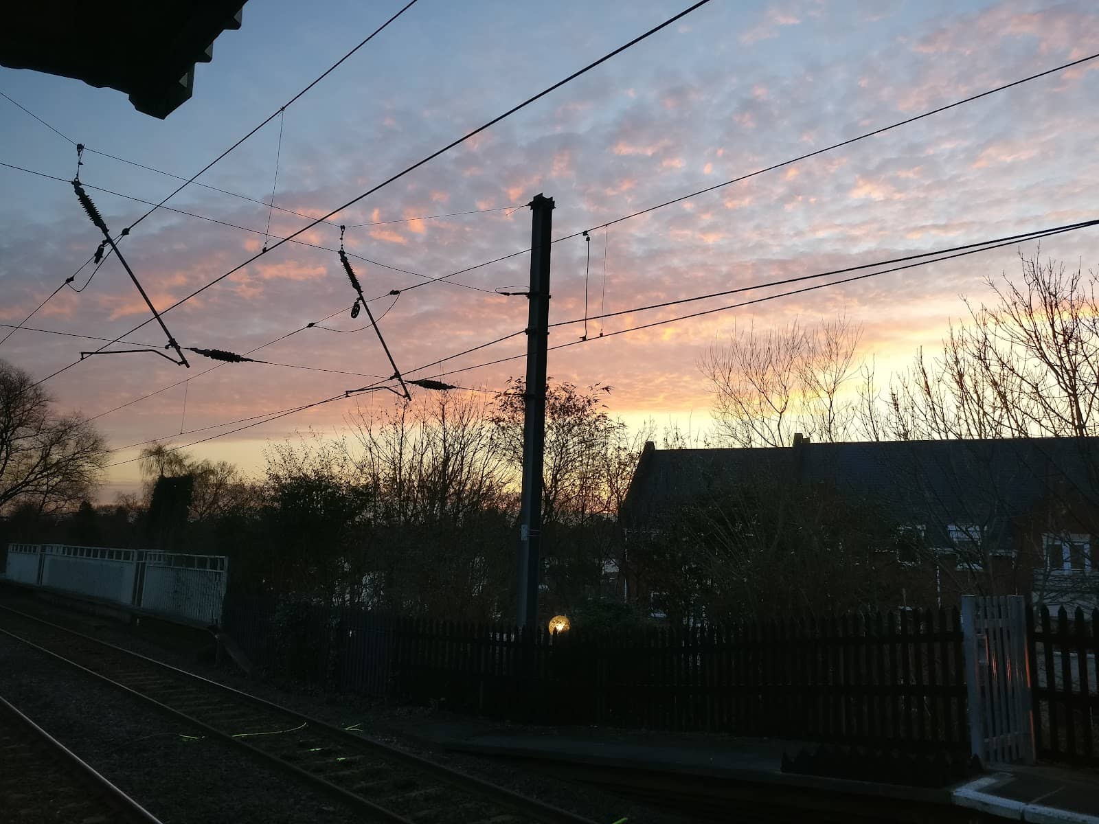 Vertical photo