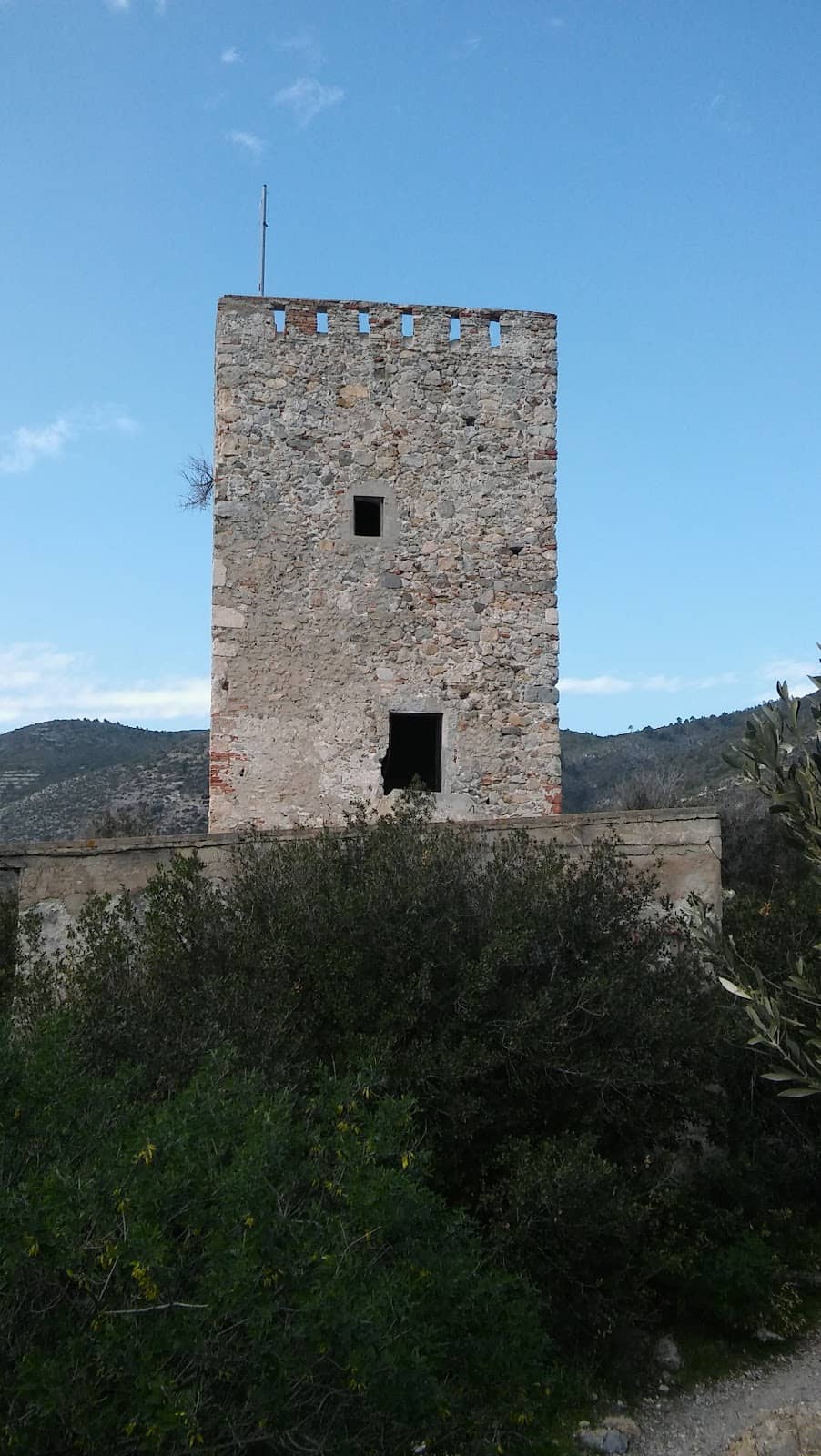 Vertical photo