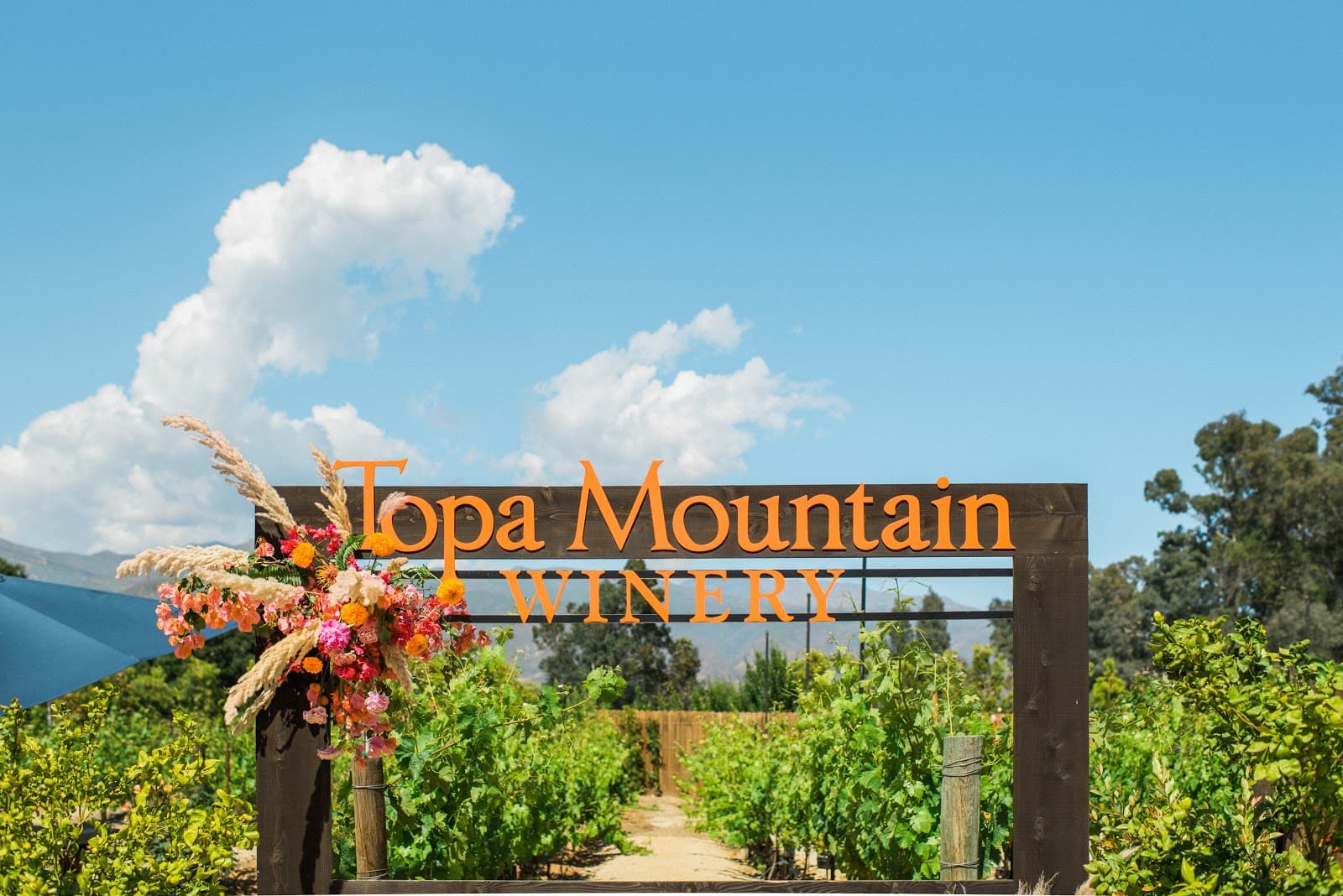 Topa Mountain Winery - Image 1