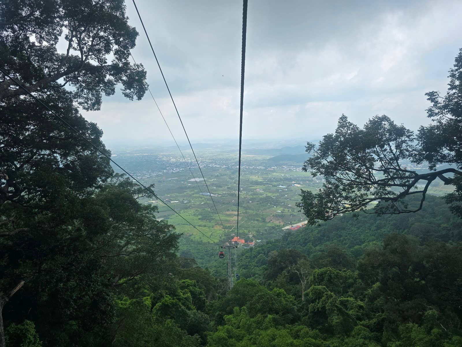 Vertical photo