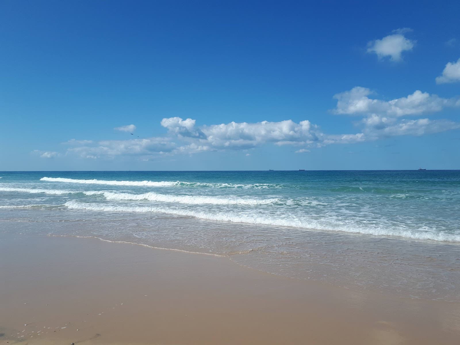 Oranim Beach - Image 1