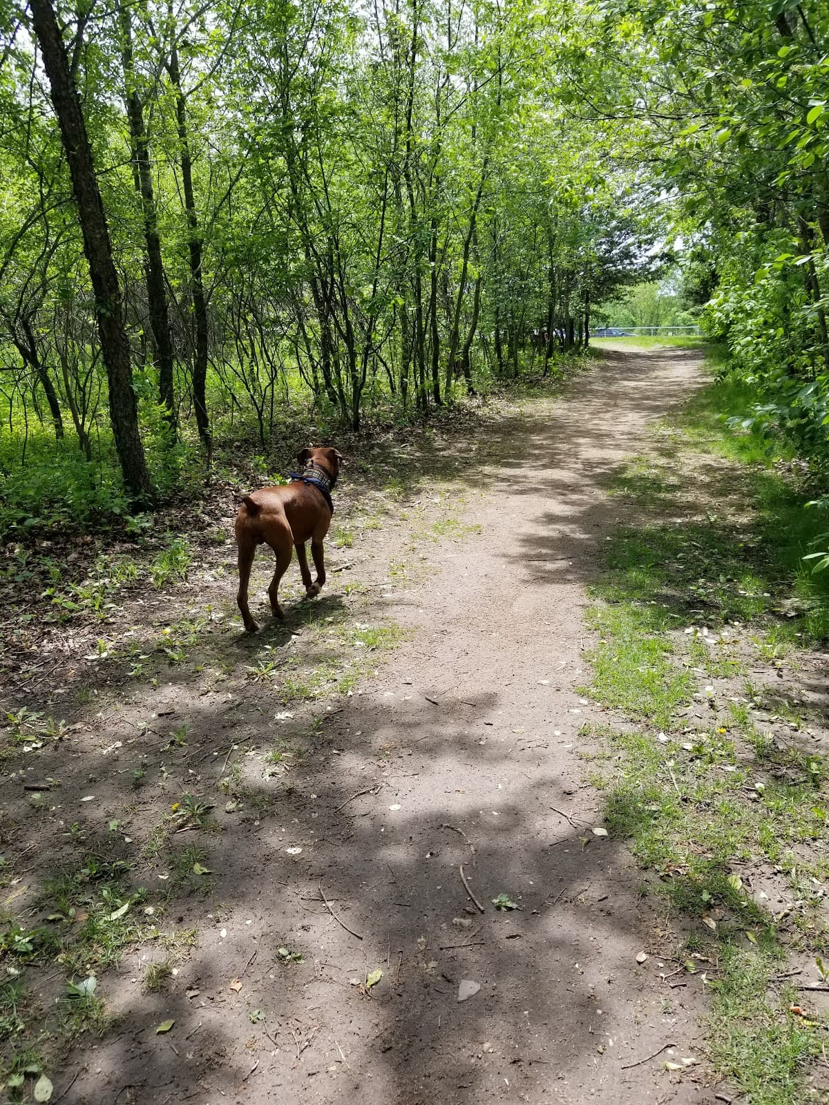 Cleary Lake Dog Off-Leash Area - Image 1