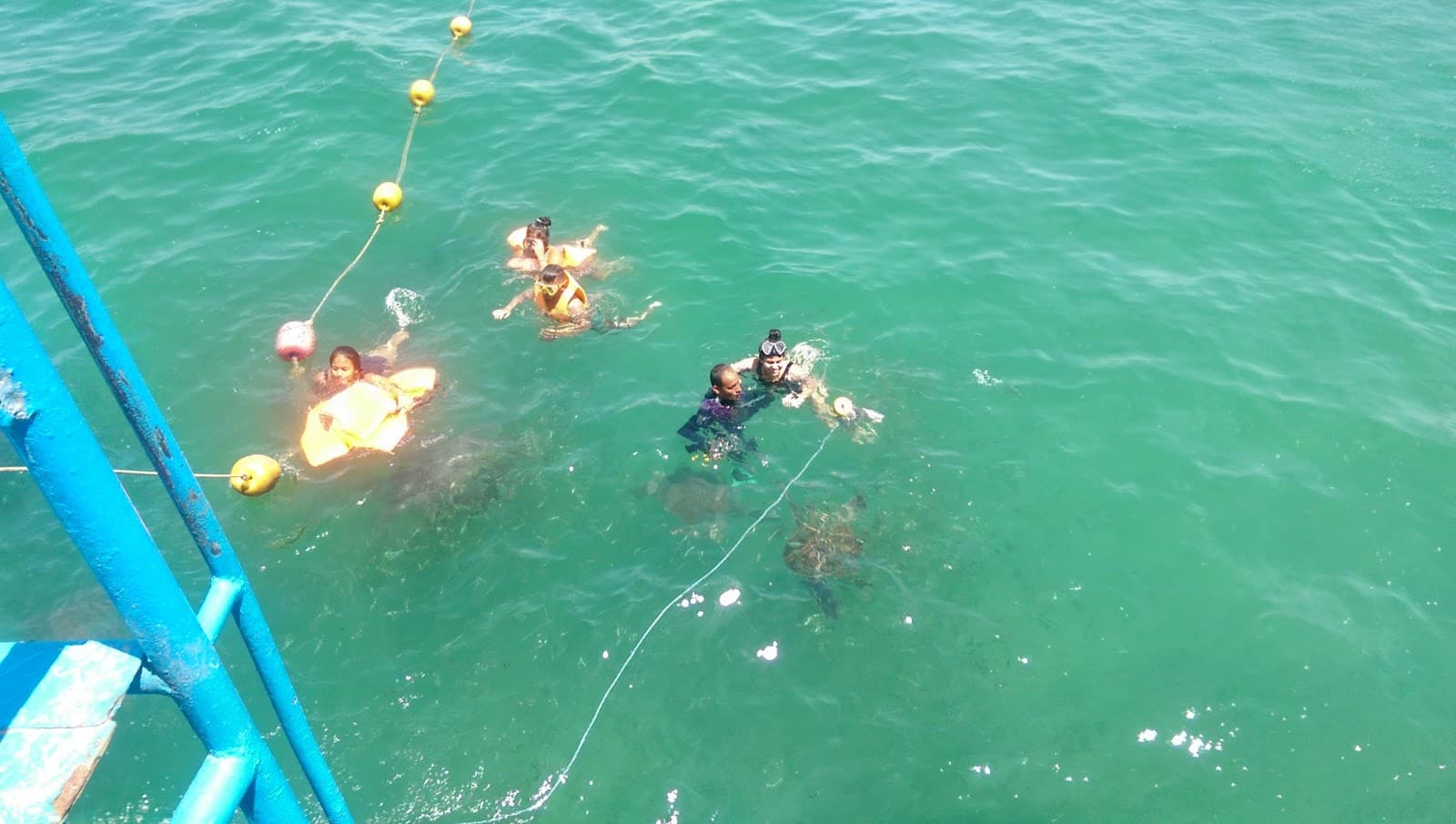 Los Órganos Pier - Image 1