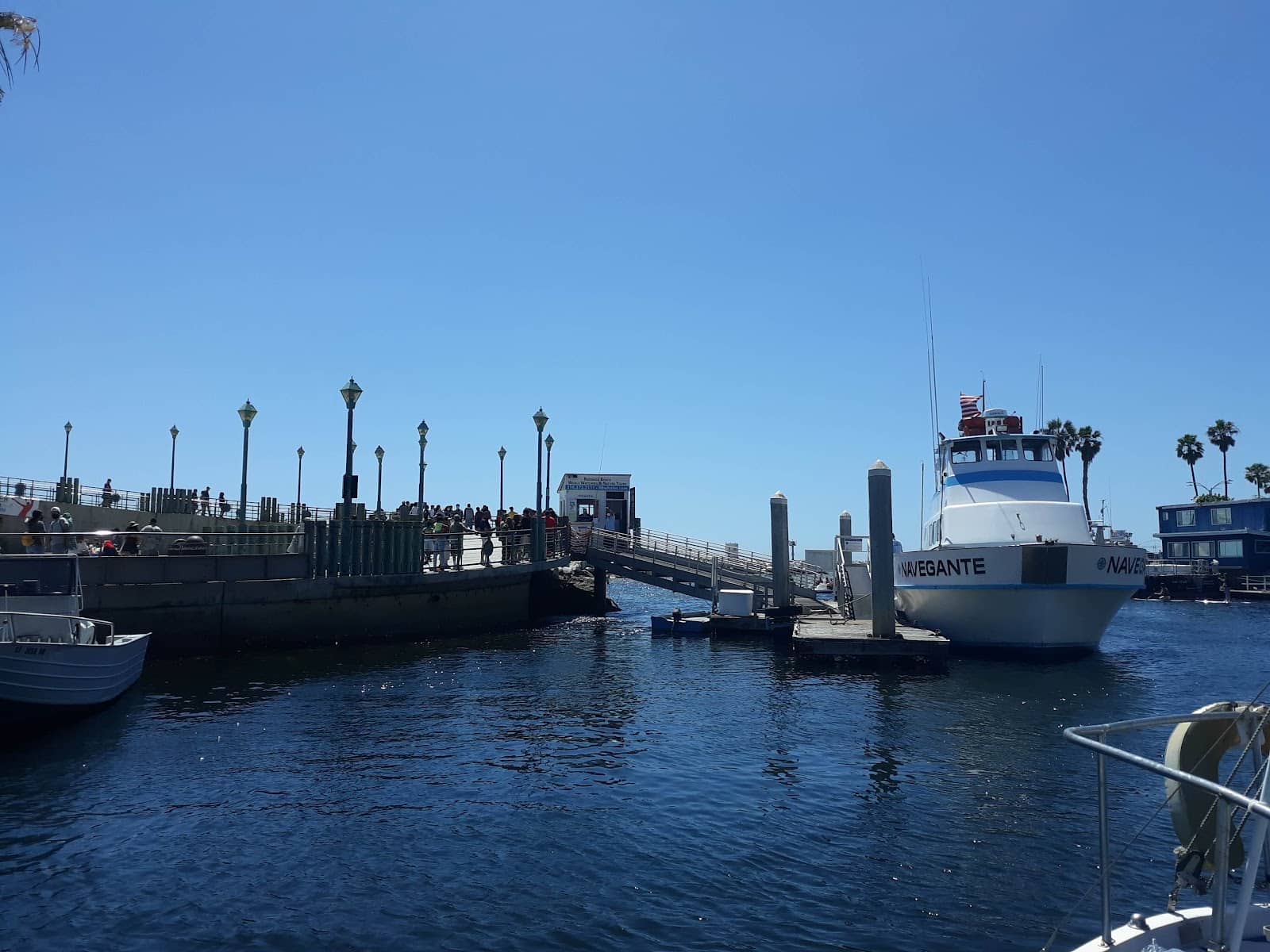 KLIA Jungle Boardwalk