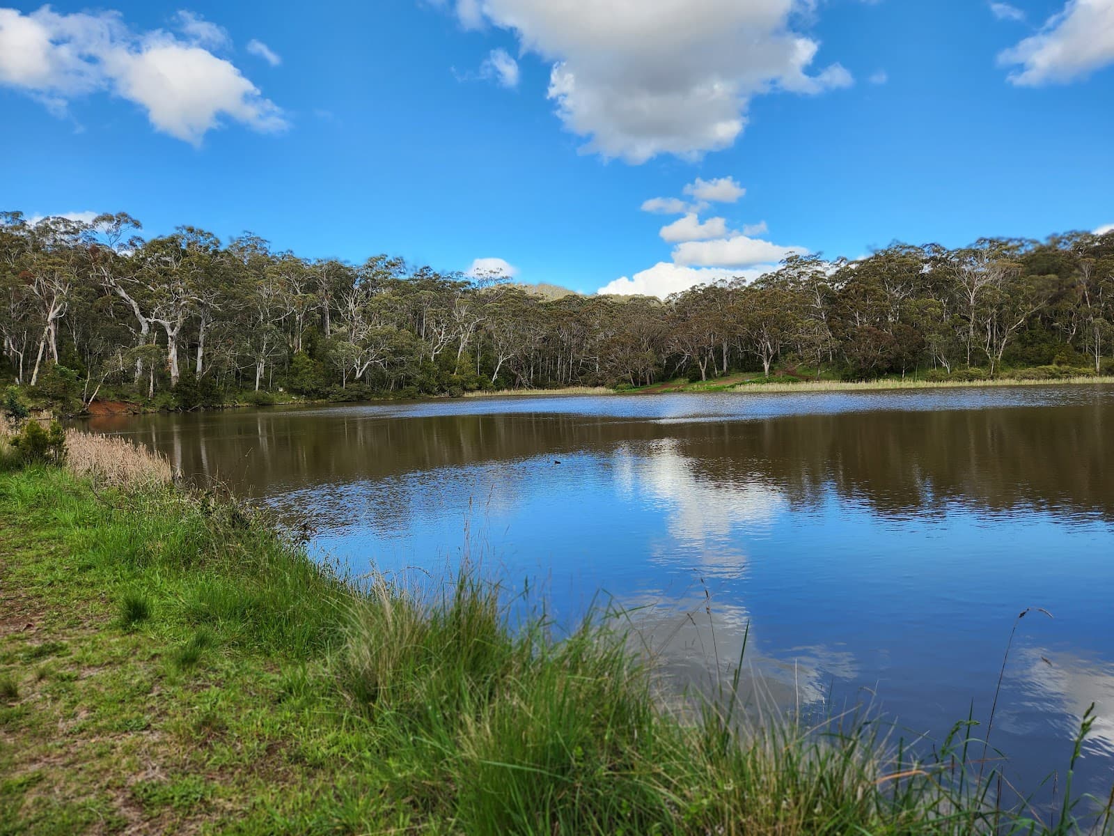 Sheba Dams - Image 1