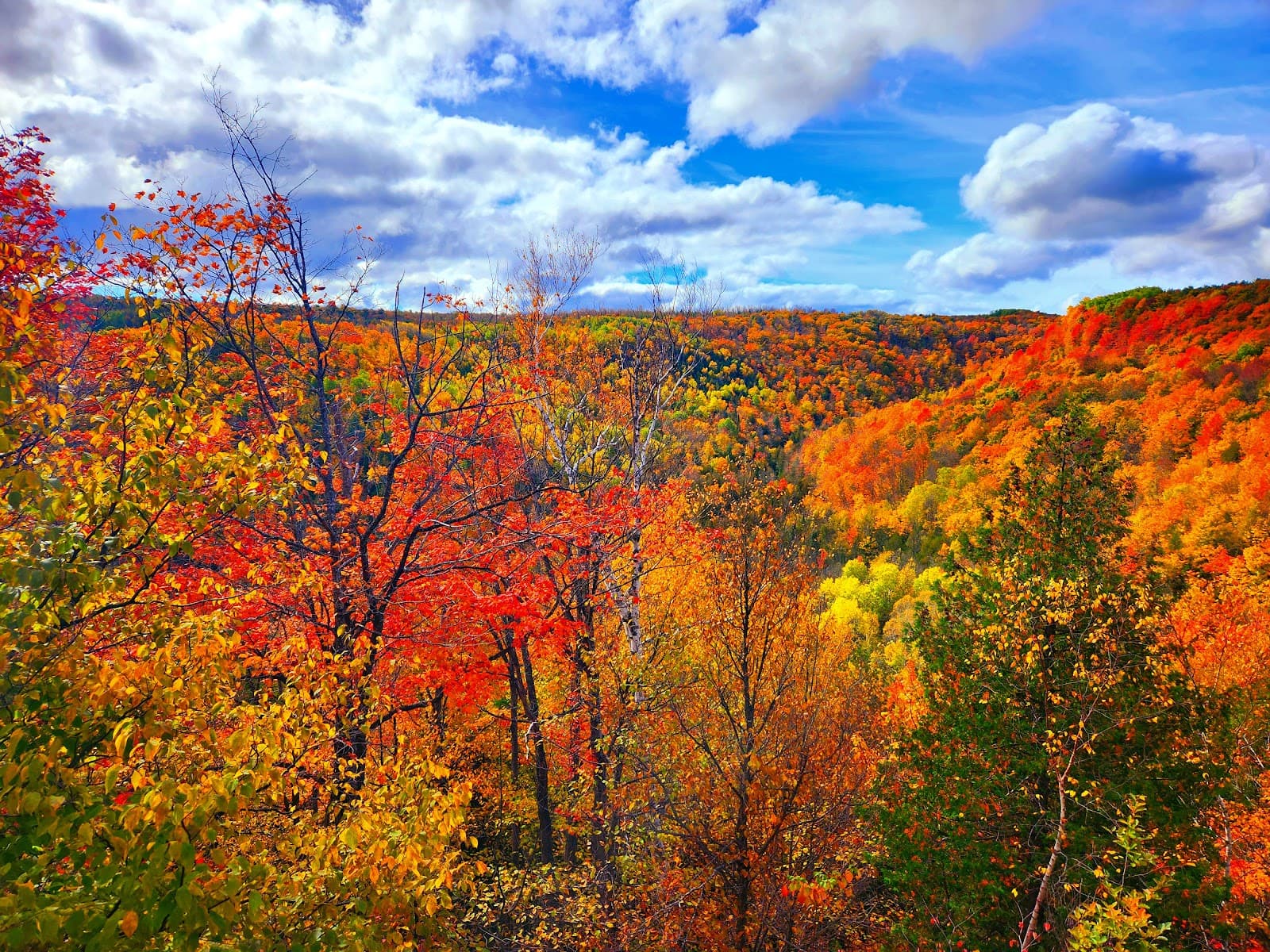 Devil's Glen Provincial Park - Image 1