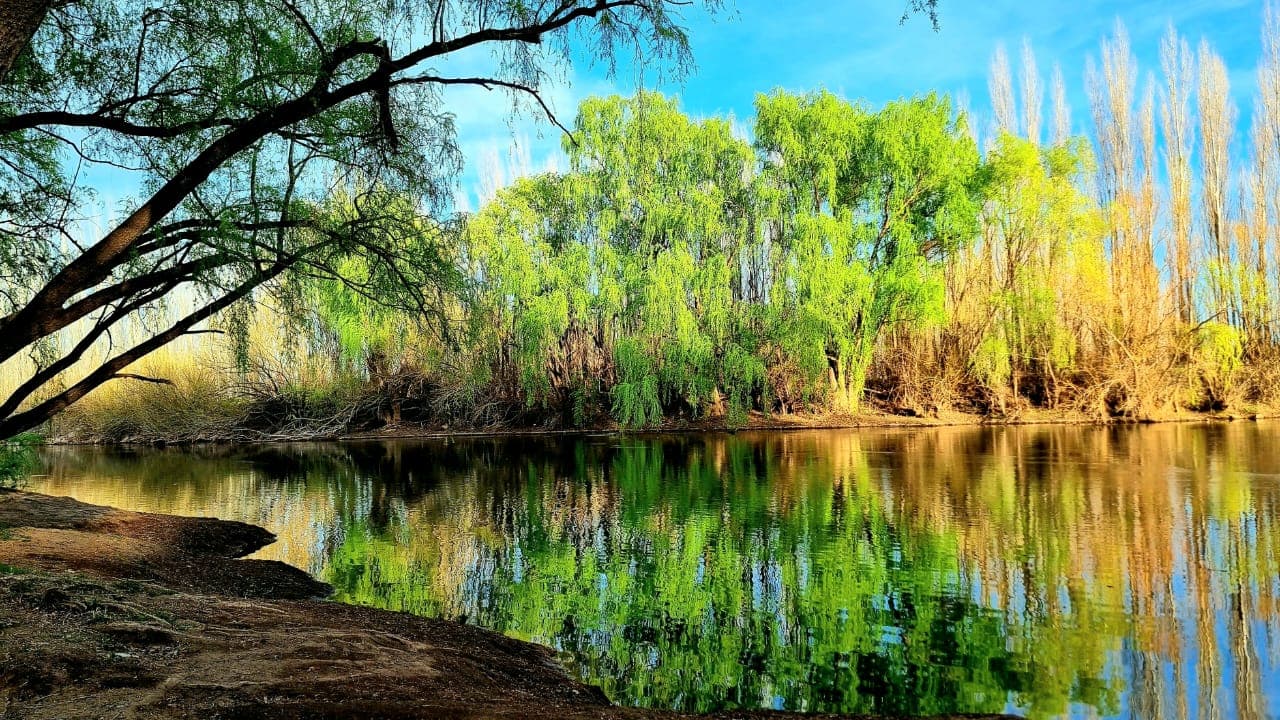 Paseo del Río Neuquén - Image 1