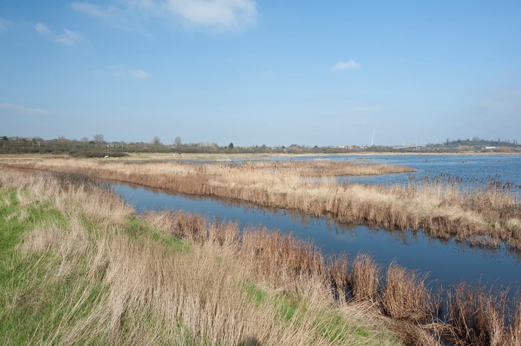 RSPB Vange Marsh - Image 1