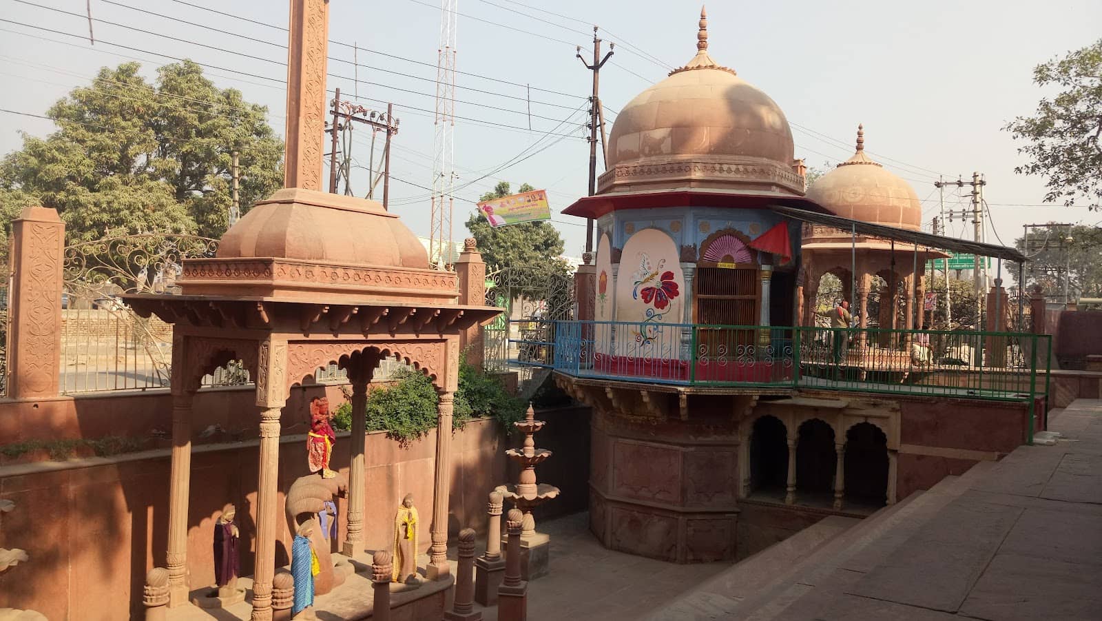 Kadamba Tree