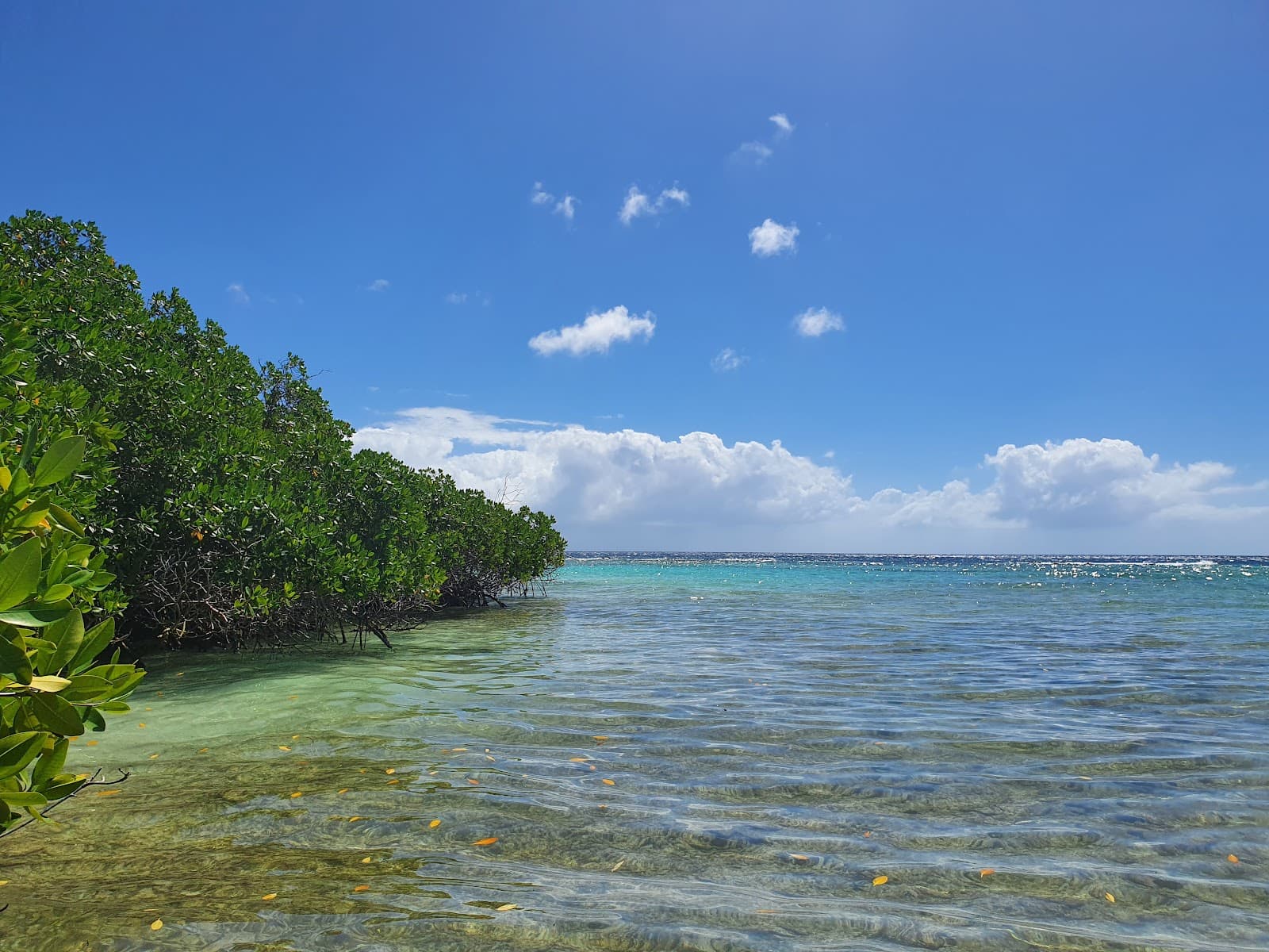 Savaneta Beachfront Savaneta - Image 1