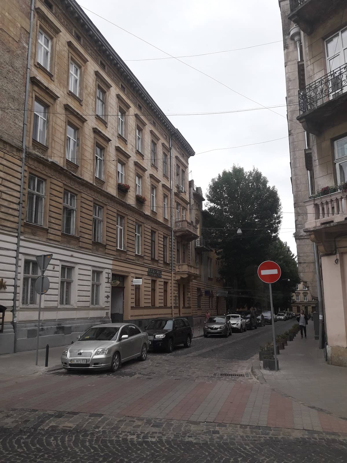 Art Galleries & Exhibitions