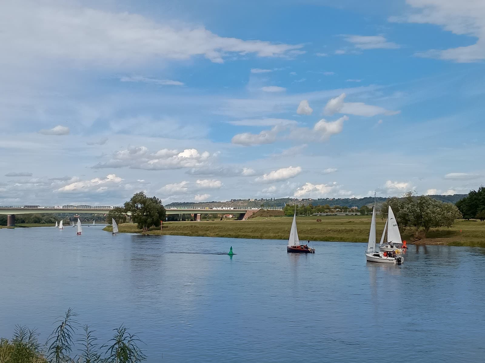 Elbe Cycle Path Dresden - Image 1