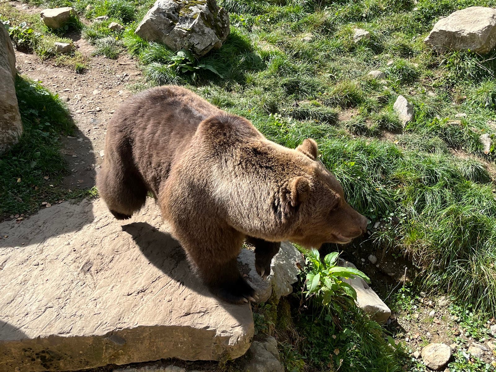 Aran Park - Image 1