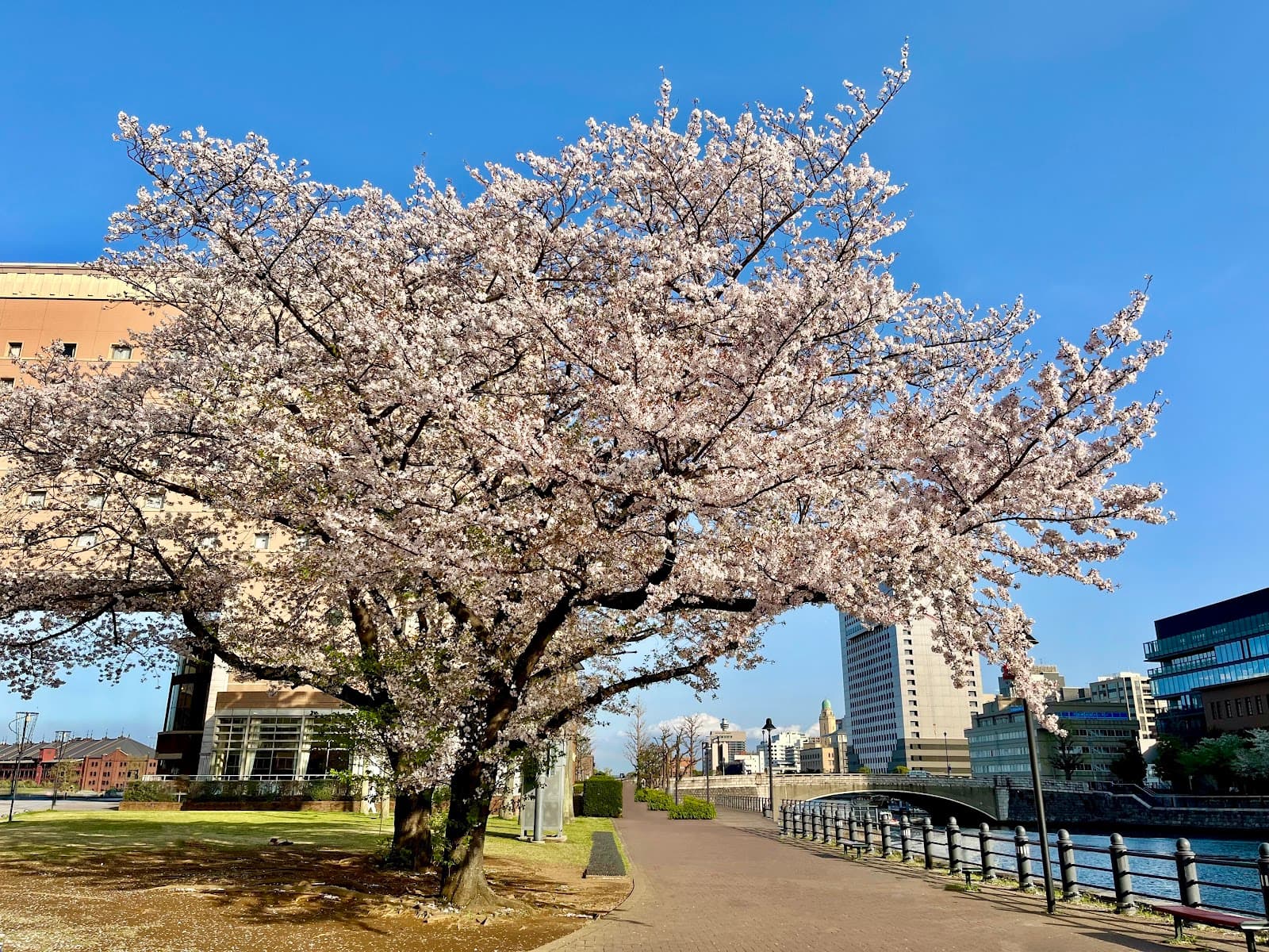 Kitanaka Canal Park - Image 1