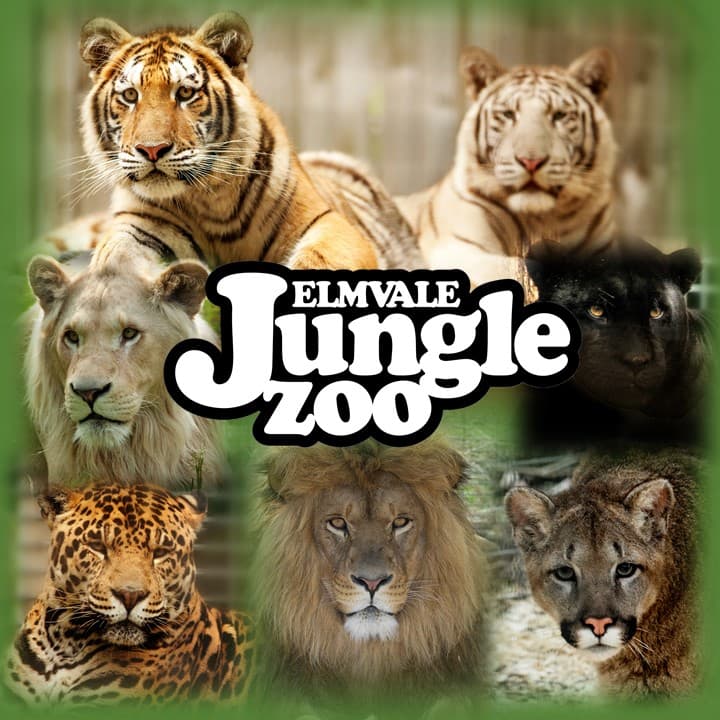 Elmvale Jungle Zoo - Image 1
