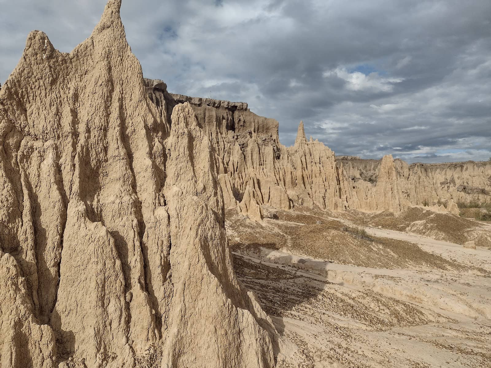 Toropí Bus Tour