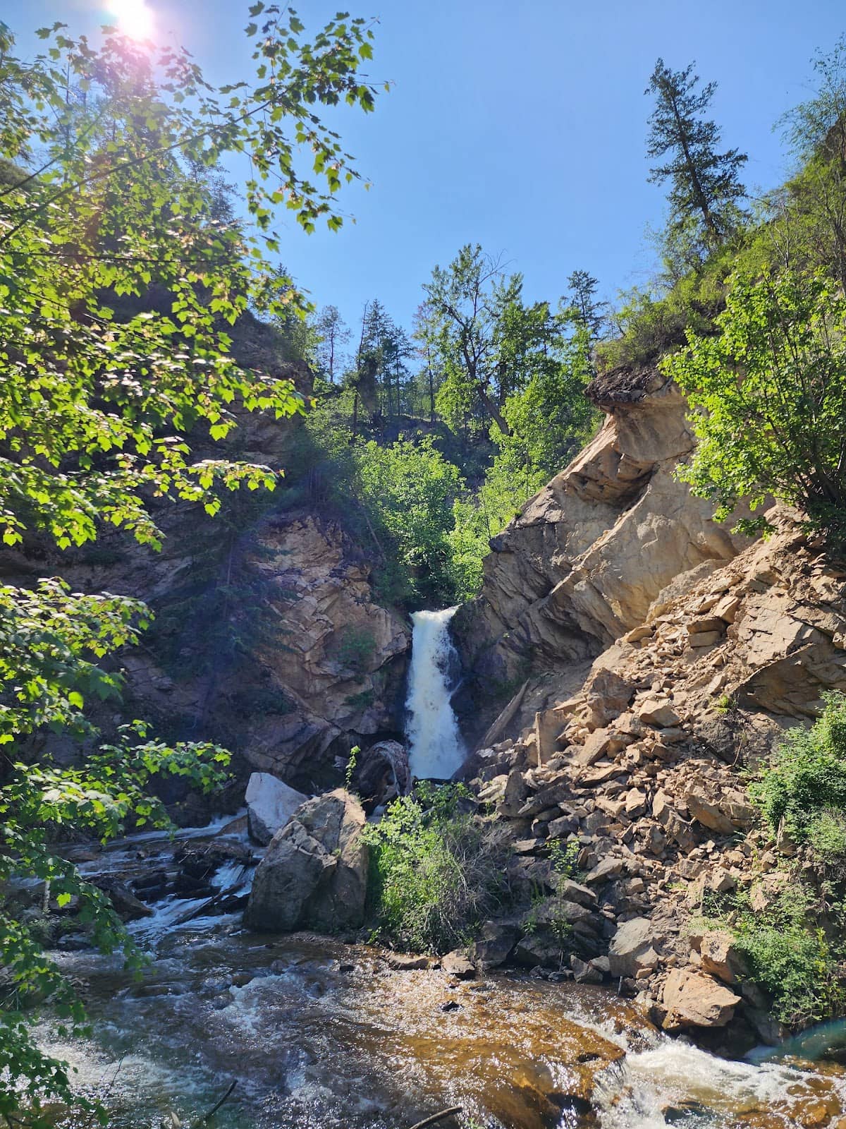 Vertical photo