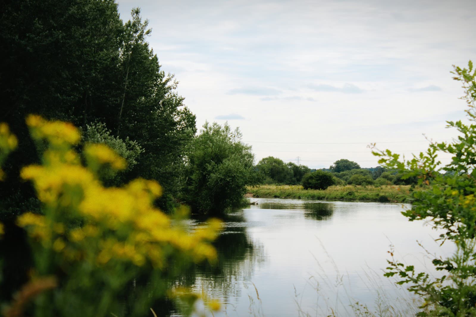 Branston Leas Nature Reserve - Image 1