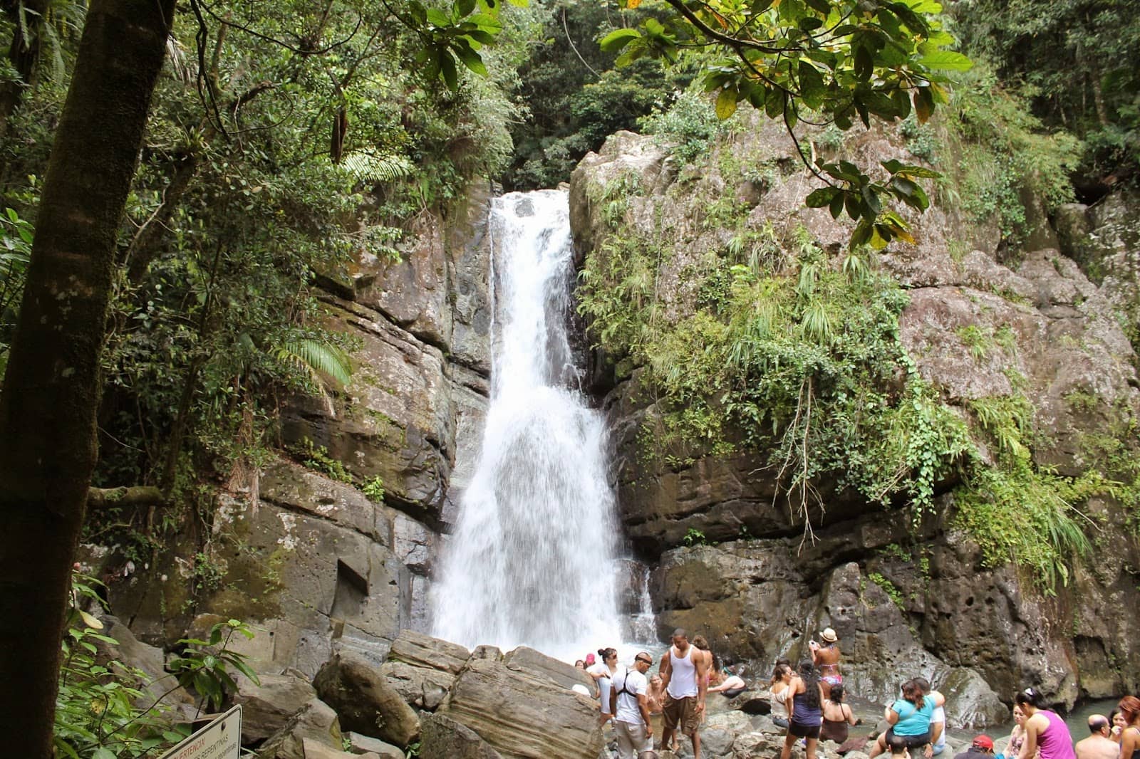 Los Picachos del Yunque
