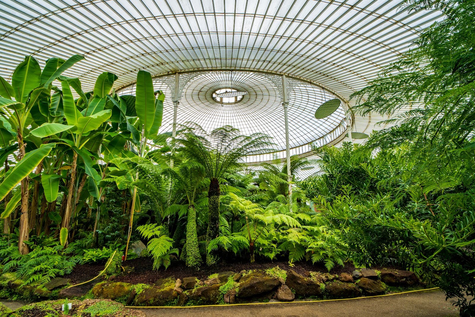 Kibble Palace - Image 1