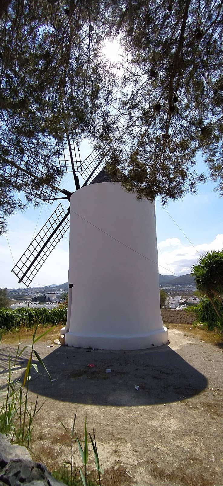 Vertical photo