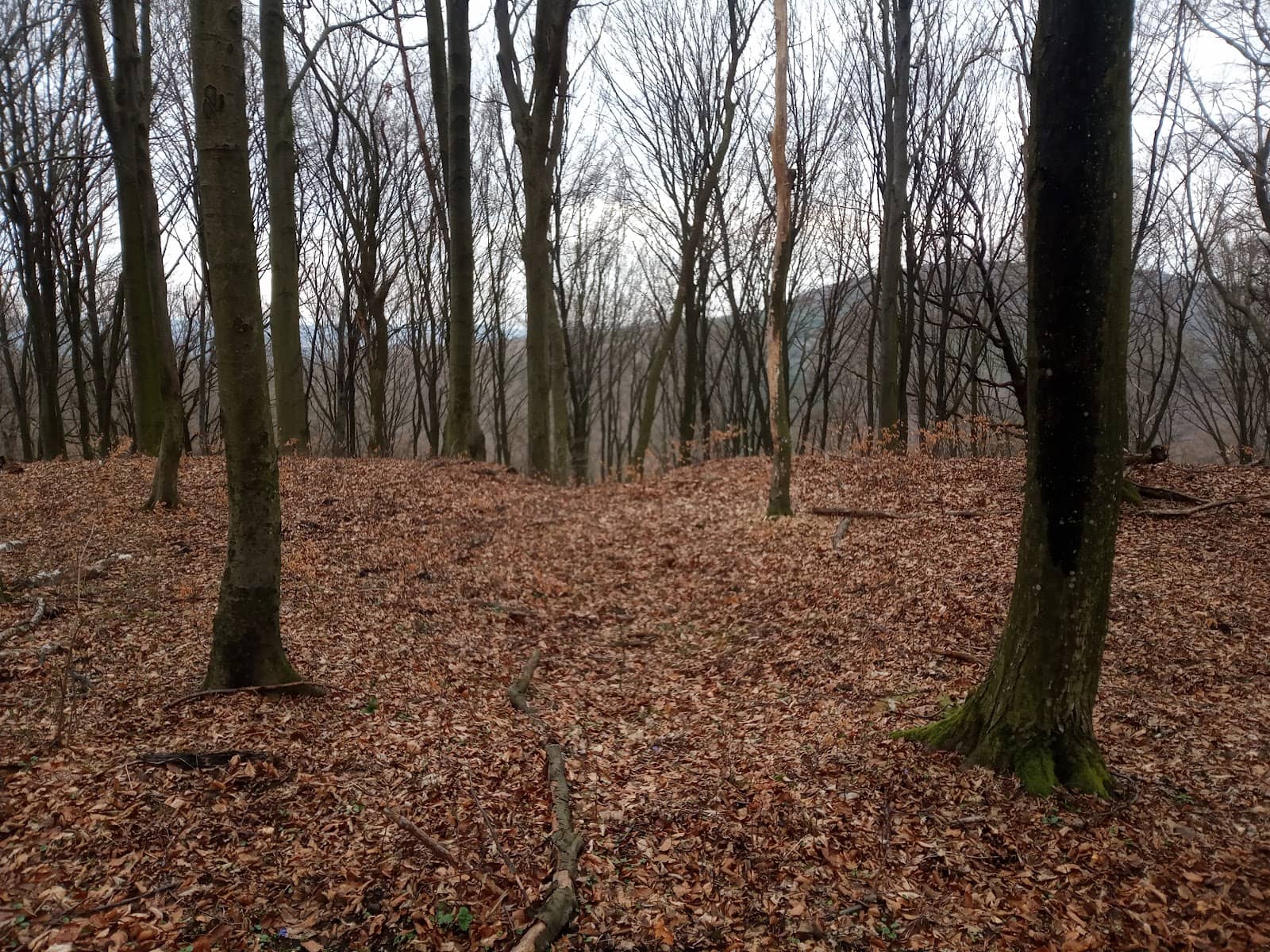 Tranquil Historical Exploration