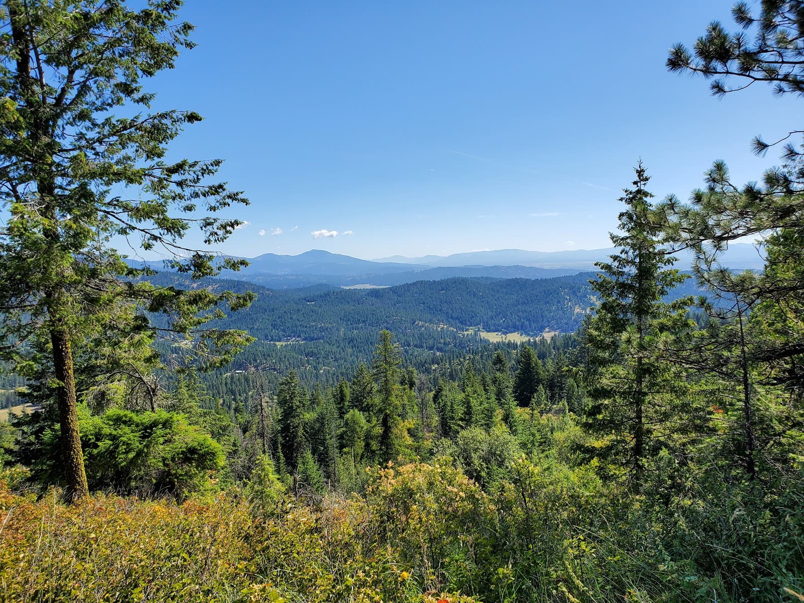 Antoine Peak Conservation Area - Image 1