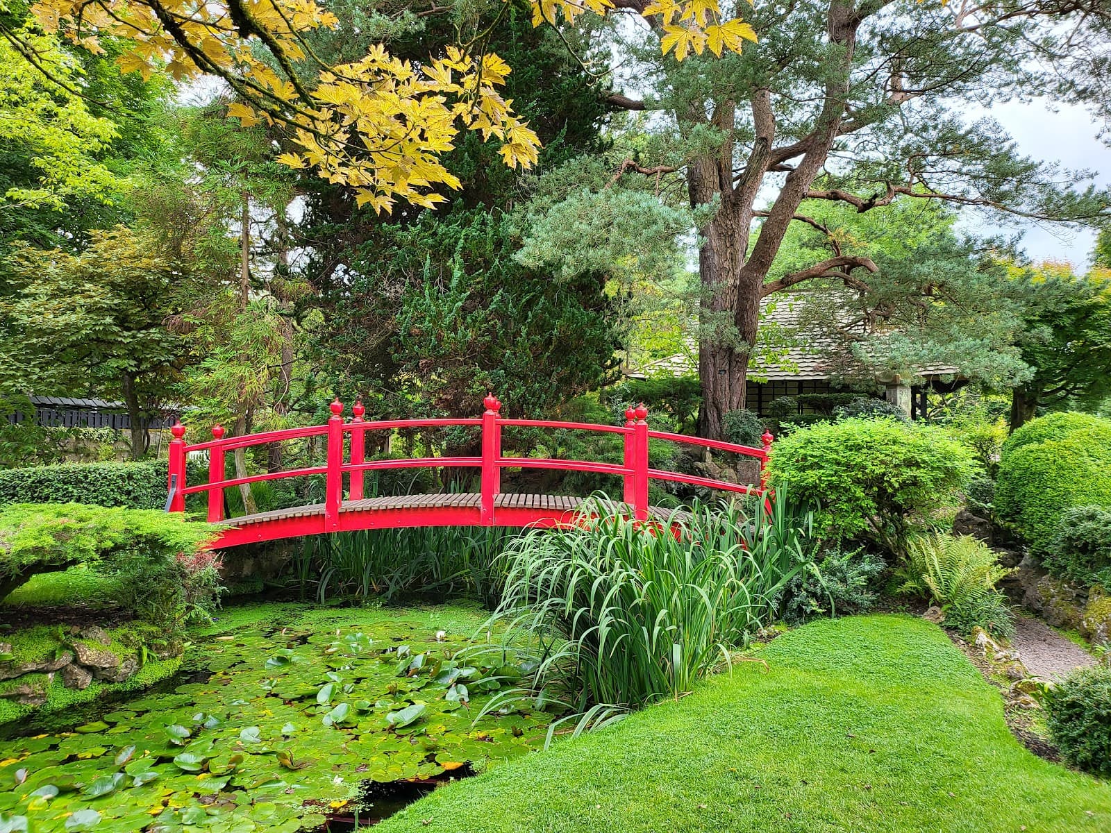 Japanese Gardens, Kildare - Image 1