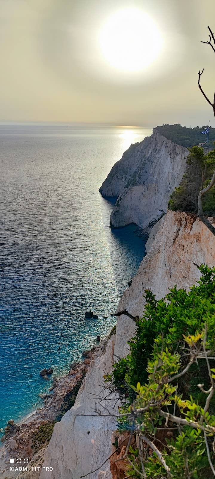 Vertical photo