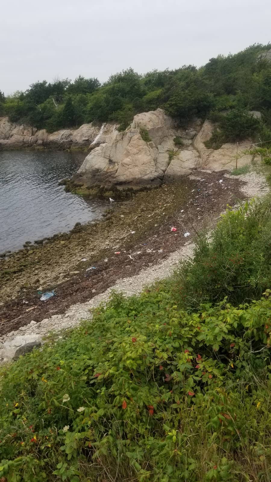 Porcupine Islands Views