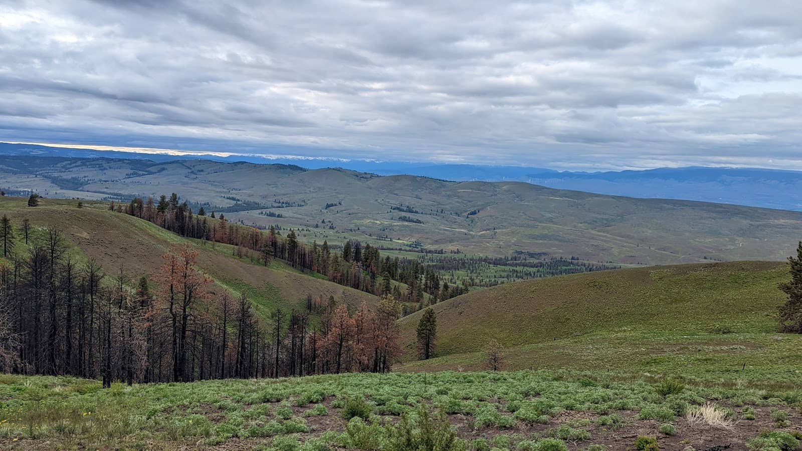 Stargazing Opportunities